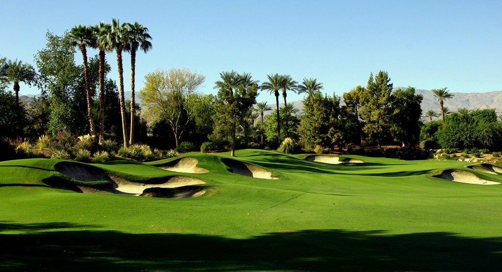 A desert golf hole with rolling hills, tall palm trees, and deep bunkers.