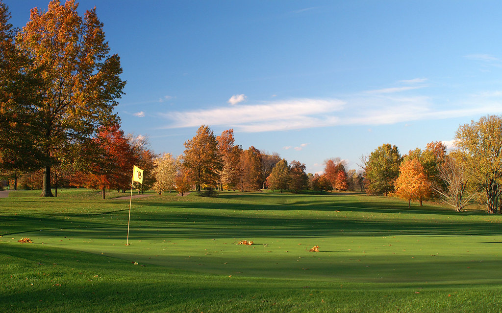 A golf hole in the fall, with a green sprinkled in leaves and a blowing flagstick.